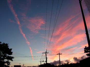 PICT0001