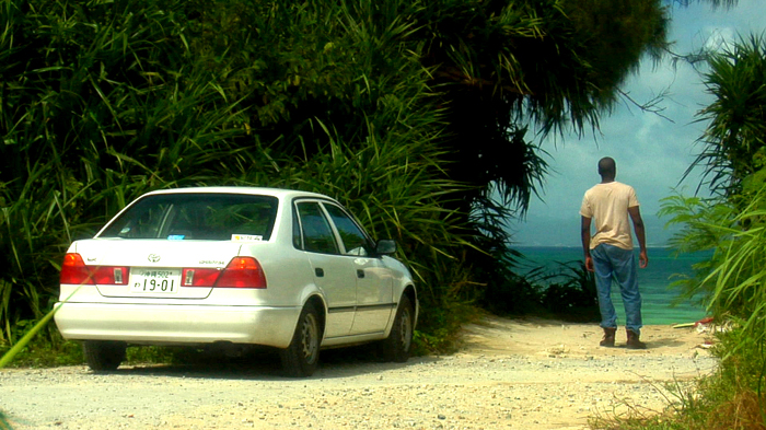 nelsonseaside